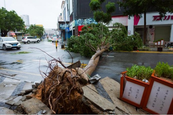 臺(tái)風(fēng)過后的街道散亂一片